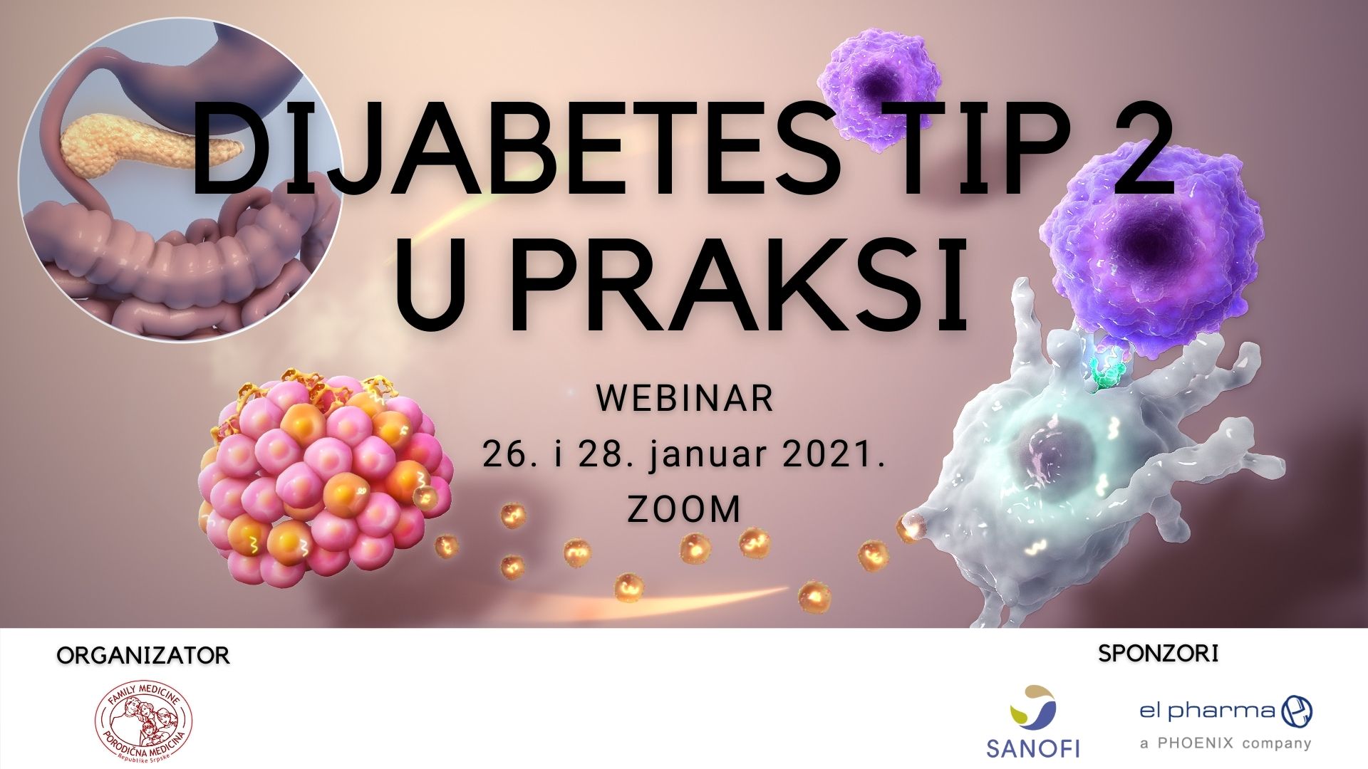 Dijabetes tip 2 u praksi
